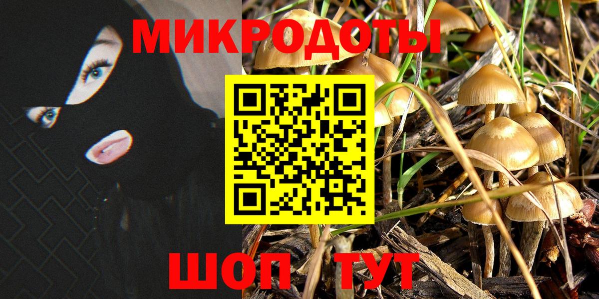 Дзержинск  Галлюциногенные грибы Psilocybine cubensis  Галлюциногенные грибы ЛСД  Вход с VPN 
