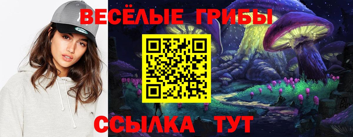 Псилоцибиновые грибы мухоморы Дзержинск